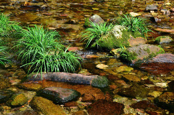 武陵源风景名胜区-紫草潭