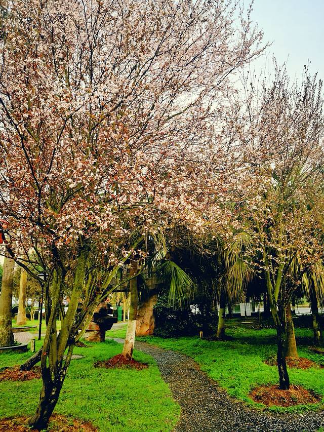 郴州市南岭植物园