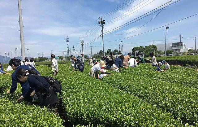富士之国茶之都博物馆