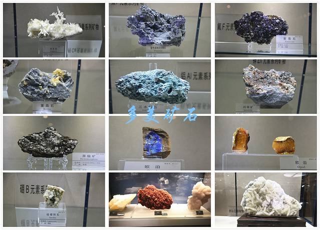 山西地质博物馆