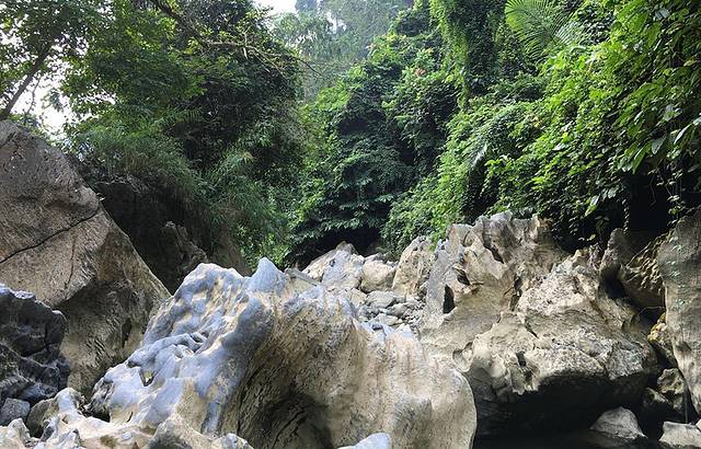 花鱼洞国家森林公园