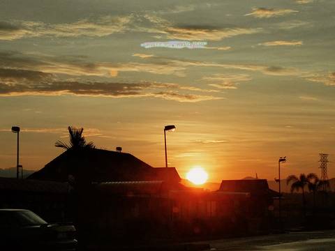 金马伦高原薰衣草园