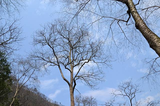 大小井风景名胜区