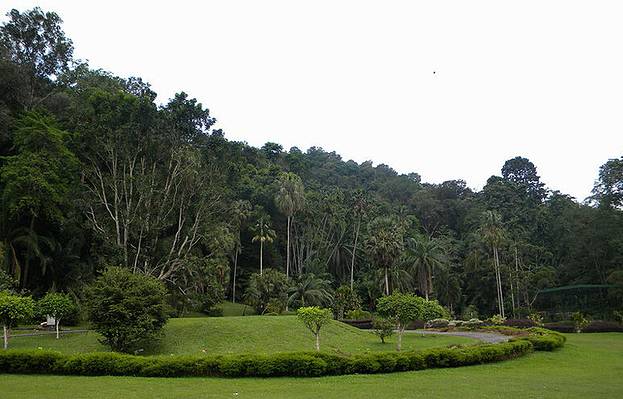 槟城植物园