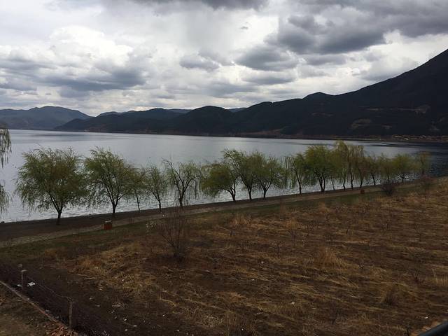 《花楼恋歌》歌舞演出