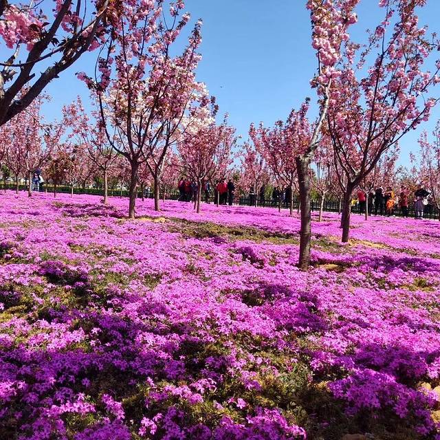 文昌湖都市农业生态博览园-东门