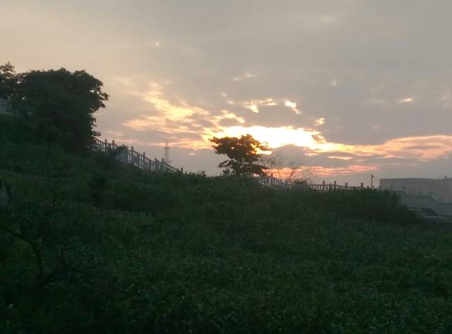 沃尔玛购物广场(毕节文博路分店)