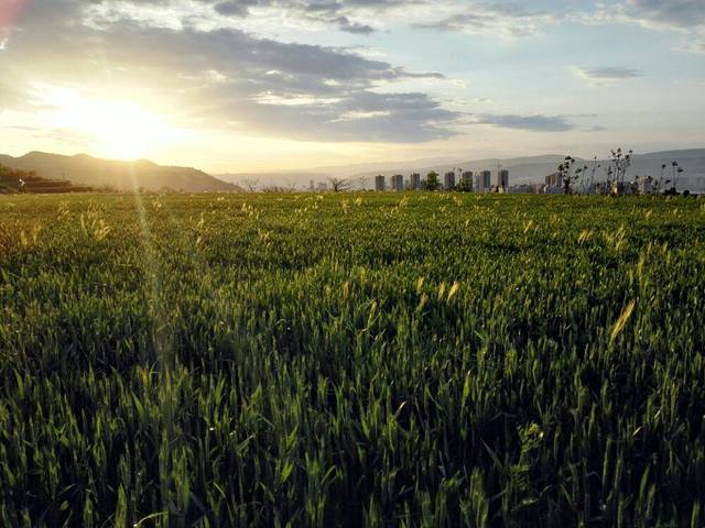 宝鸡必捷滑雪场