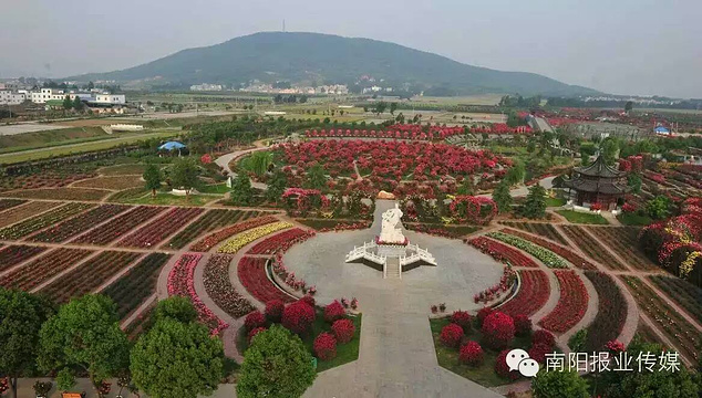 中国月季园旅游景点图片