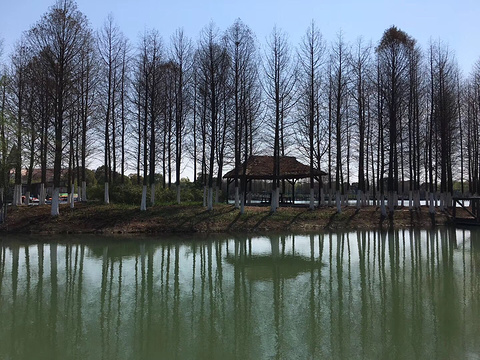 阳澄湖生态休闲旅游度假区的图片