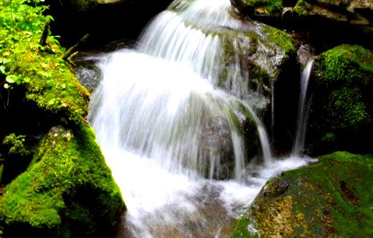 威虎山国家森林公园