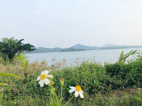 儋州云月湖公园旅游景点图片