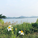 儋州云月湖公园