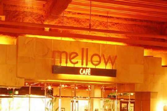 mellow cafe旅游景点图片