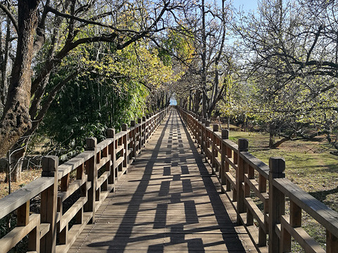 茈碧湖世外梨园旅游景点图片