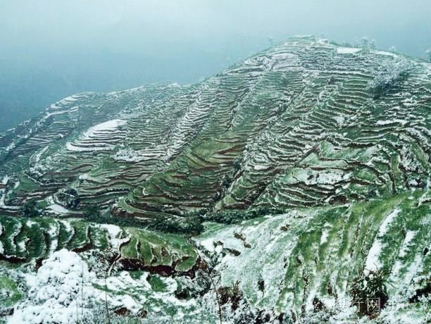 大黑山省级森林公园