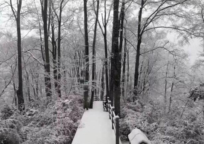 "...雪景漂亮之极，尤其是在寒潮袭击后的光雾山银装素裹，大地白雪皑皑，此时到这里就好像进入了童话世界_光雾山旅游景区"的评论图片