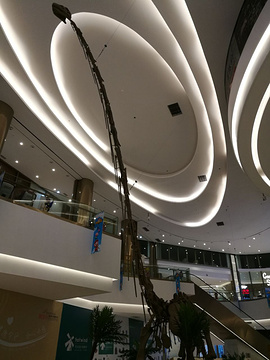 鹏瑞利东站购物中心的图片