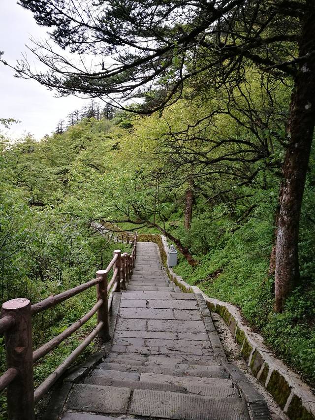 金顶索道-上部站