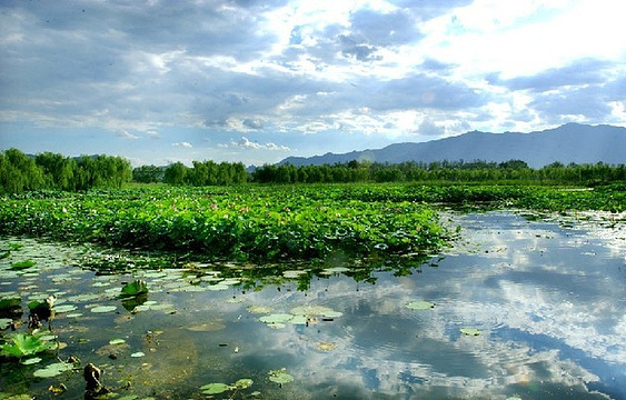 翠湖国家城市湿地公园旅游景点图片