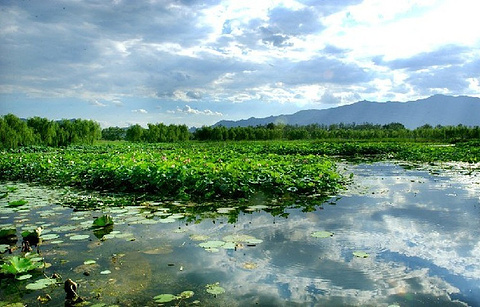 翠湖国家城市湿地公园的图片