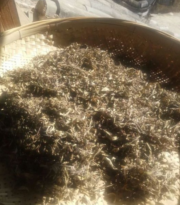 陈大厨白沙风味馆