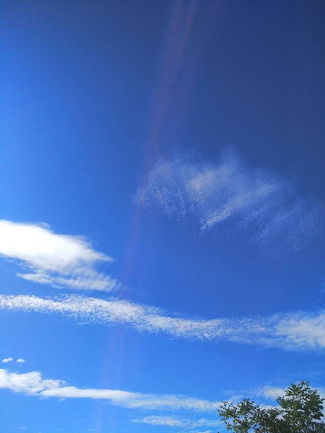 青岛崂山茶文化博物馆
