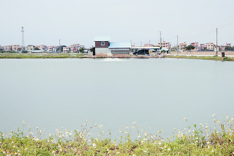 海鸥岛