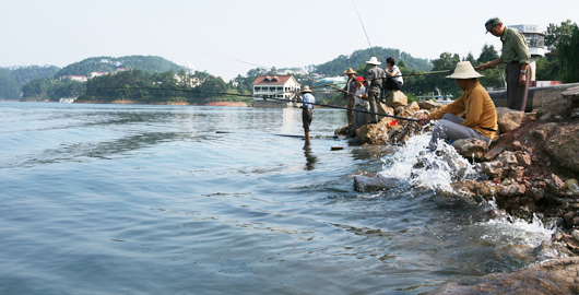 千岛湖钓鱼岛
