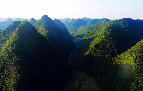 兰鼎山森林公园