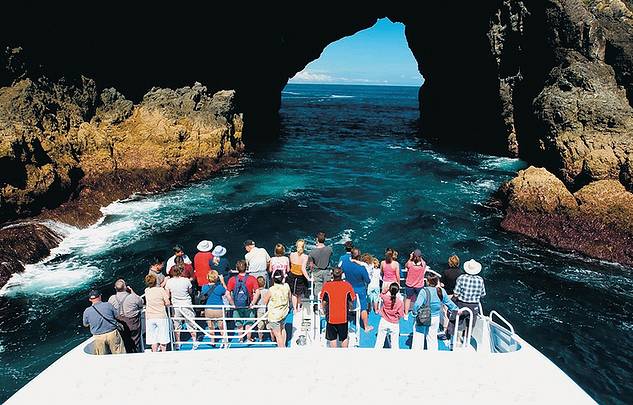 岩中洞寻海豚游船