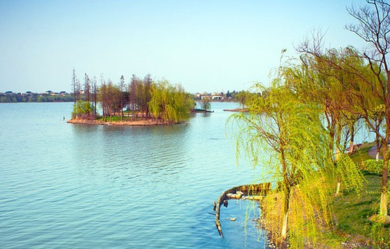 大淀湖旅游景点图片