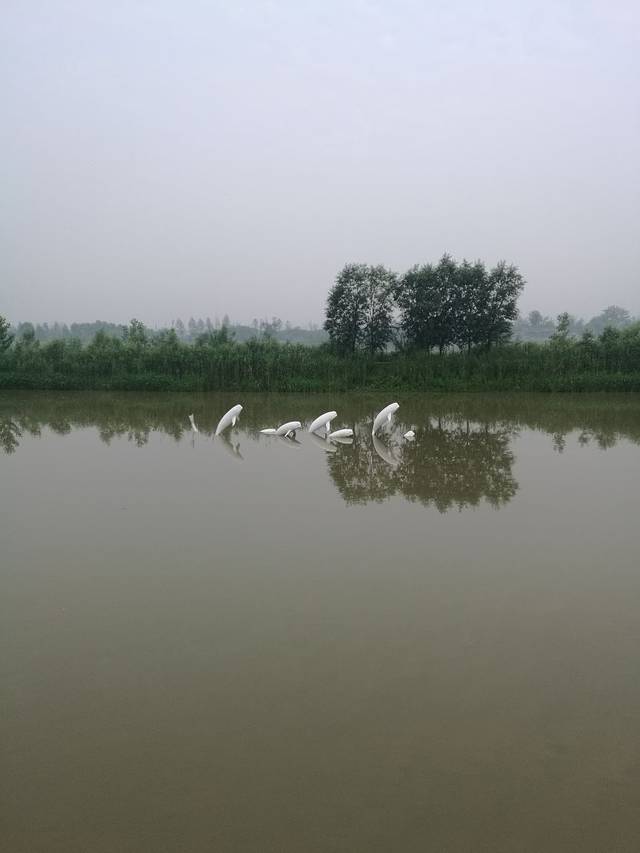 廖家沟城市中央公园