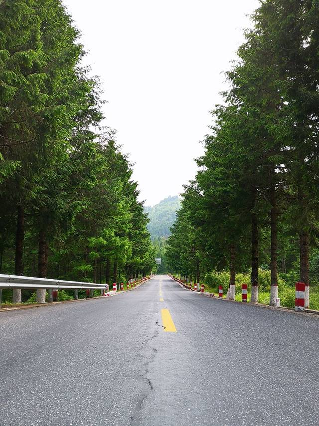 平河梁森林公园