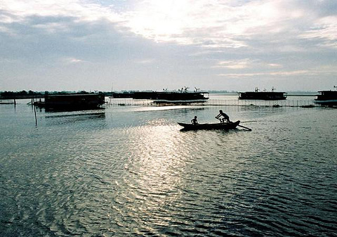 焦岗湖国家湿地公园旅游景点攻略图