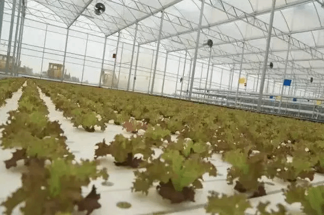 春沐源智慧农业示范区