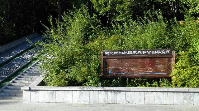 鹤北红松林国家森林公园