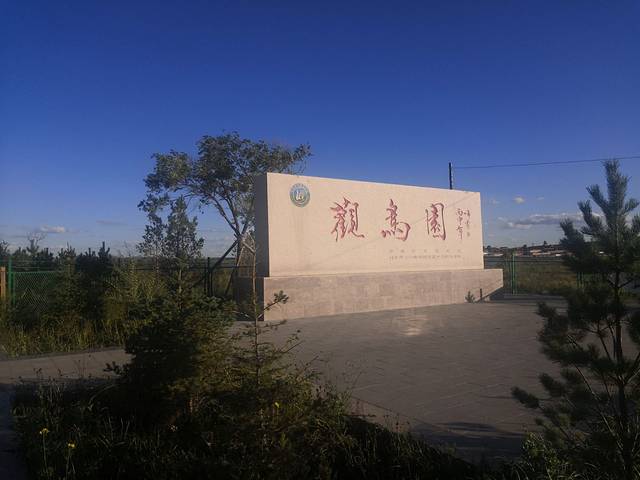 闪电河国家湿地公园观鸟园