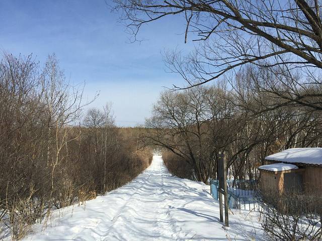 小兴安岭植物园