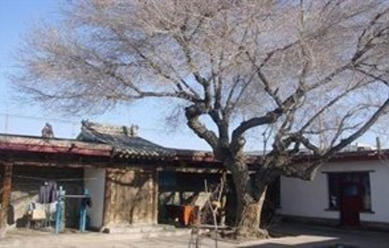 巴里坤哈萨克自治县古民宅旅游景点图片