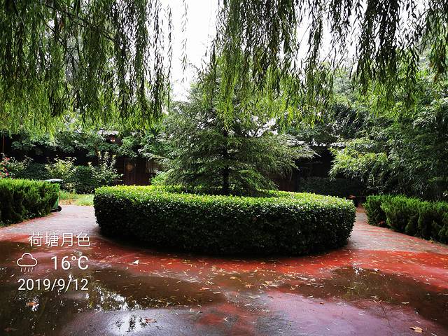 荷塘月色生态园