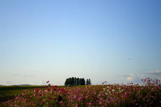 Shinei Hills Prospect Park