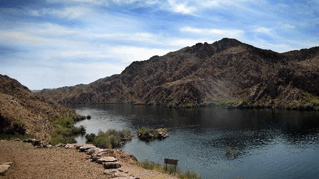 River Dogz旅游景点图片