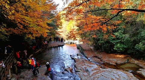 光雾山旅游景区旅游景点攻略图