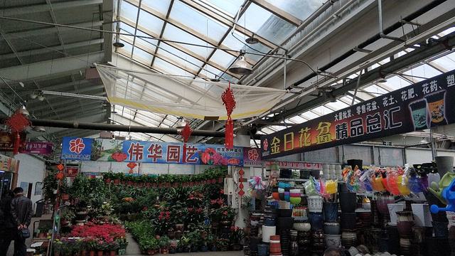 哈尔滨市花卉大市场旅游景点图片