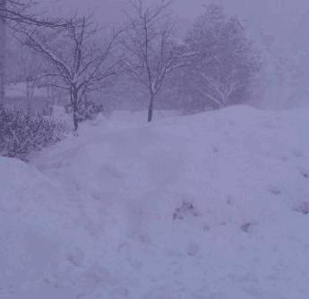 基督教国际礼拜堂