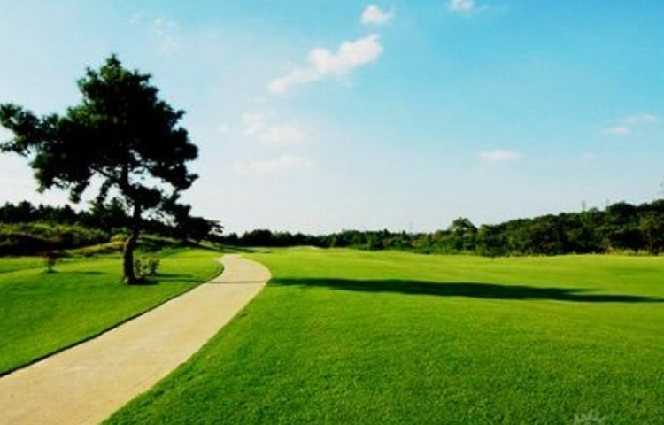 九松山乡村俱乐部