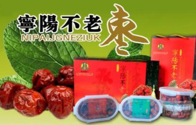 宁阳不老枣专卖店