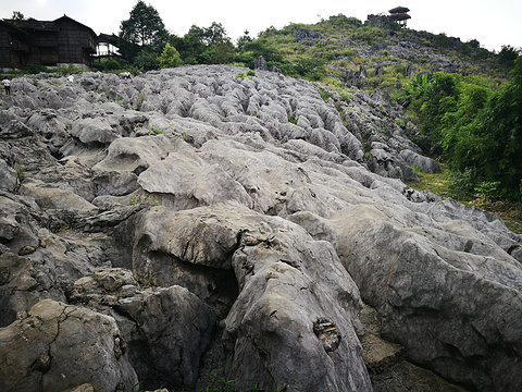 兴文地质博物馆的图片