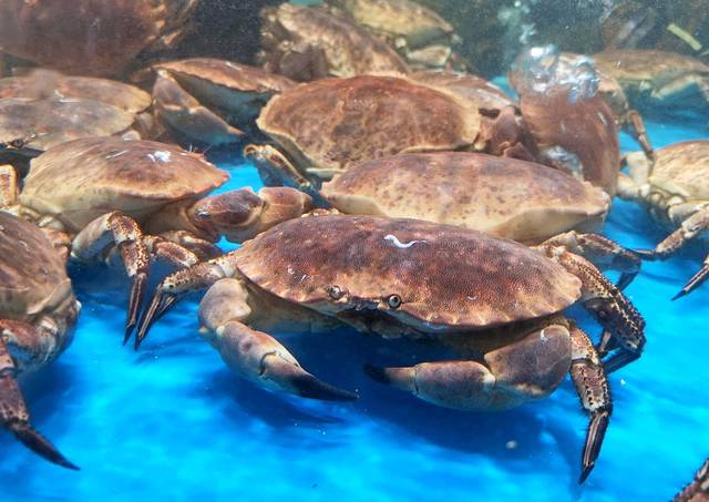 盒马鲜生(萧山万象汇店)